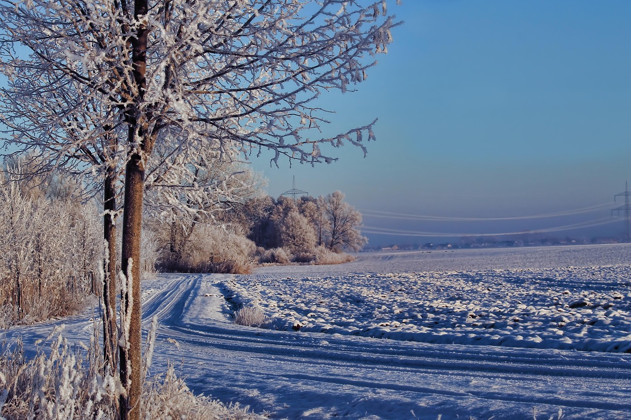 Wintersonne
